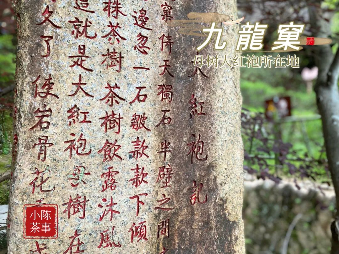 水仙肉桂大红袍金骏眉正山小种,大红袍正山小种金骏眉水仙肉桂