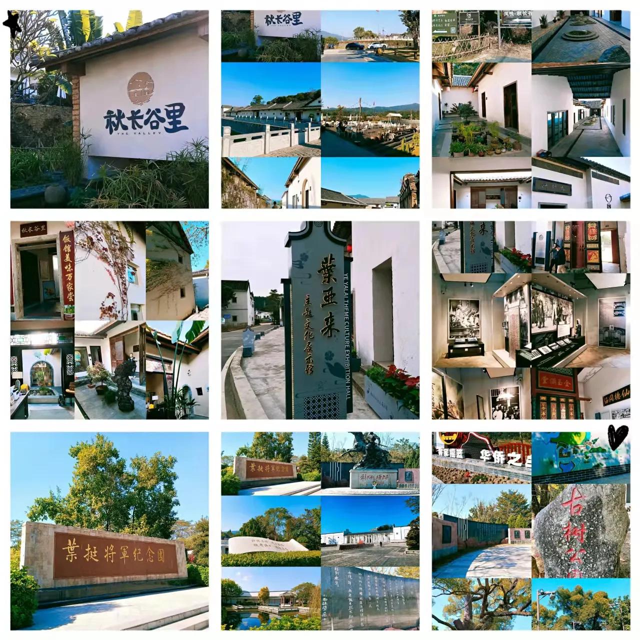 带你畅游一年四季,带你畅游深圳