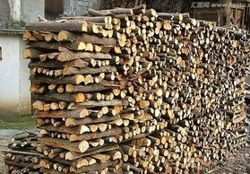 子民记忆之三:你信不?当年打柴肚饿偷偷煮饭吃