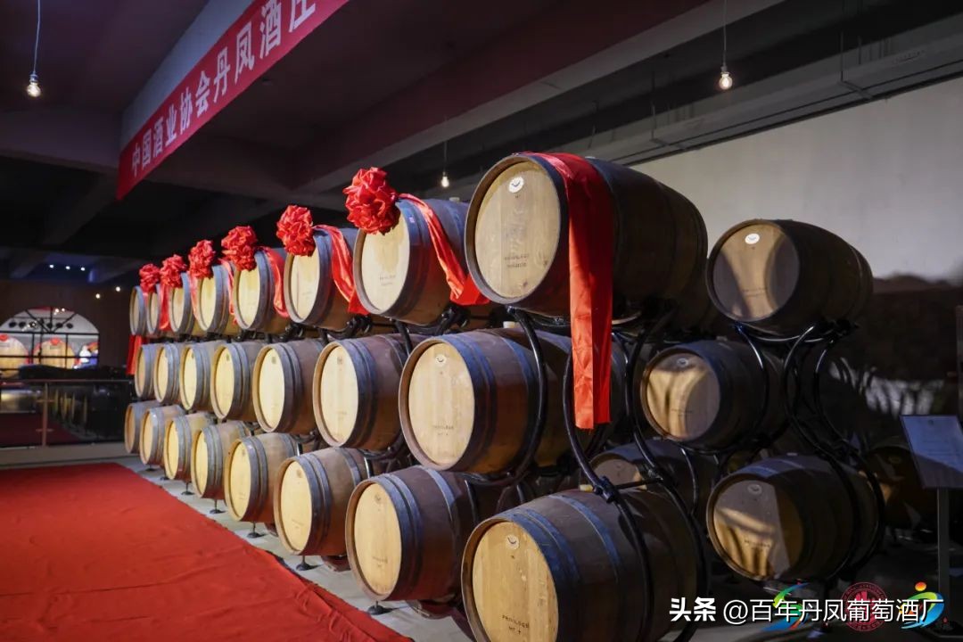 2024第五届丹凤西部红酒节,2024丹凤红酒节