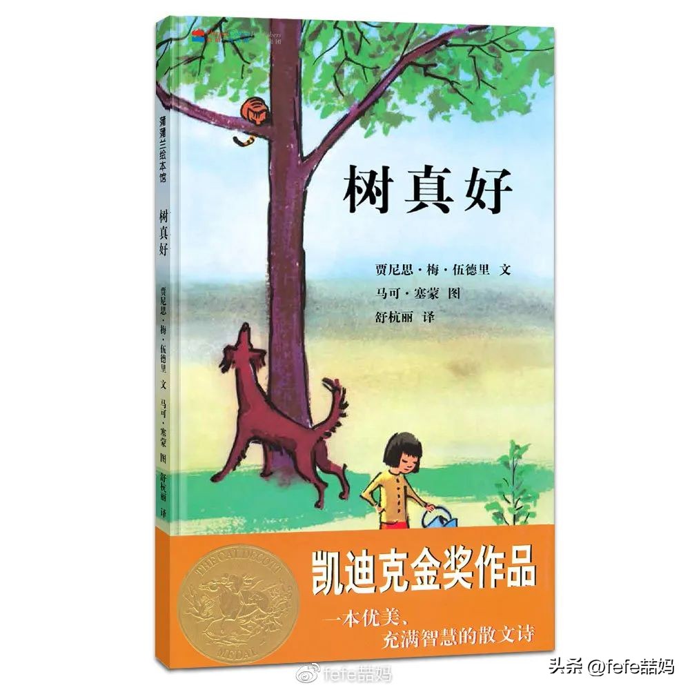 阅读为孩子打开世界的大门,以孩子视角看世界的书籍