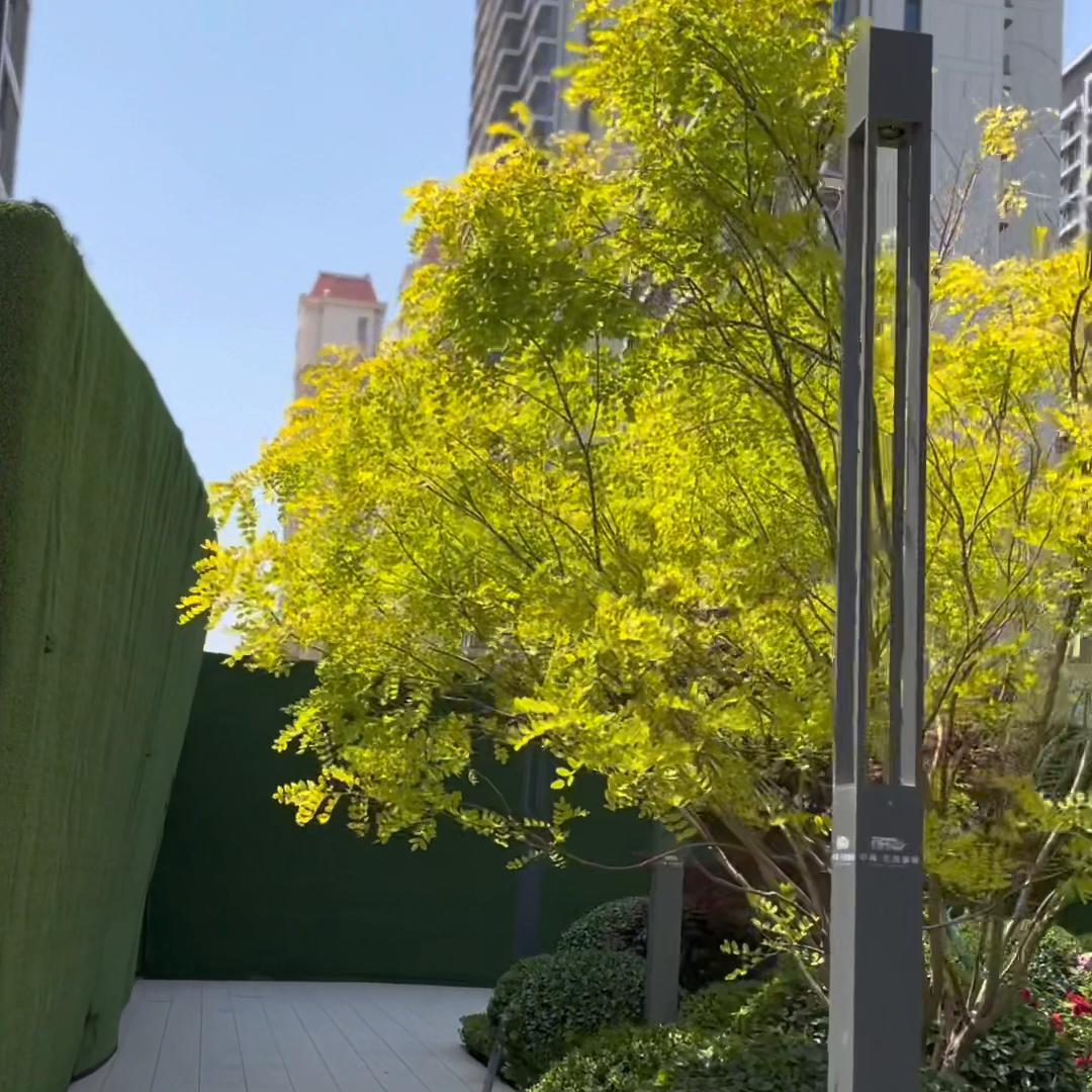 积分落户天津报名,积分落户天津申报网址