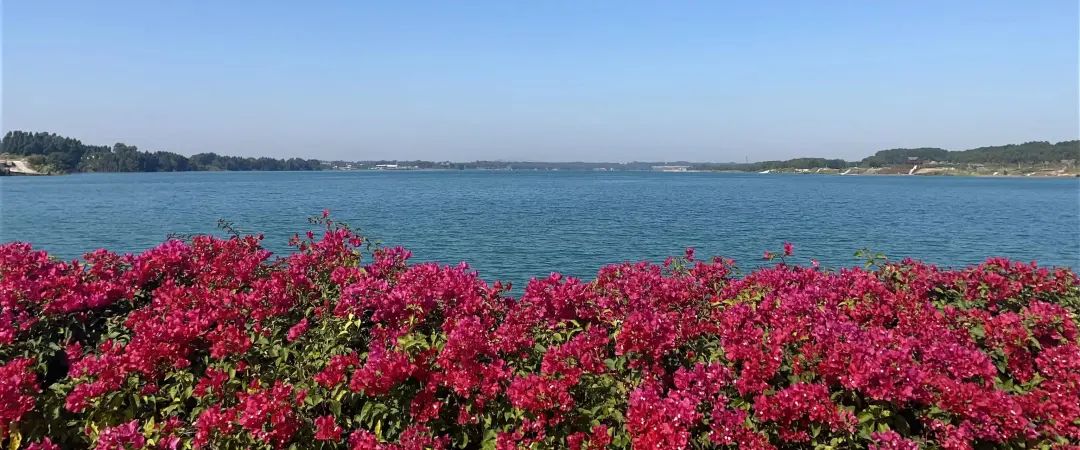 了不起的露天矿——踩着“金库”建公园（美图高能）