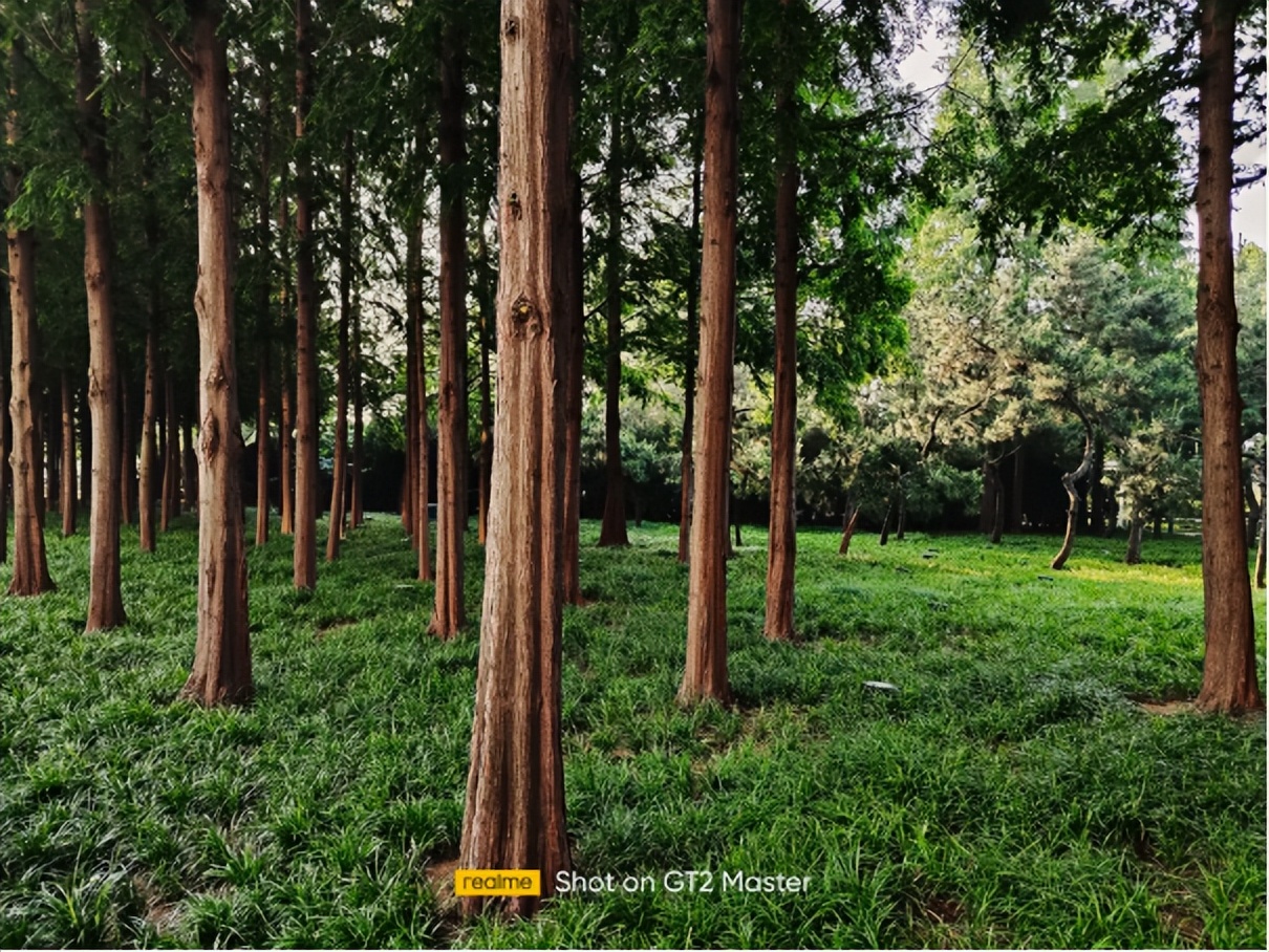 真我gt2大师探索版测评优缺点,真我gt2大师探索版评测科技美学