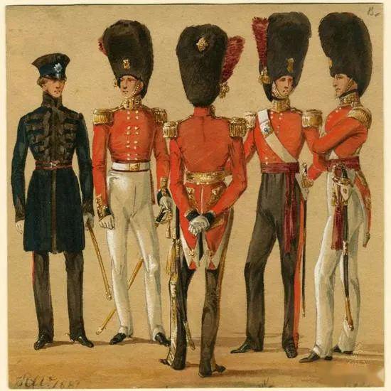 为何英国要在澳洲种仙人掌喂虫子？华丽军服的背后，落得一地鸡毛