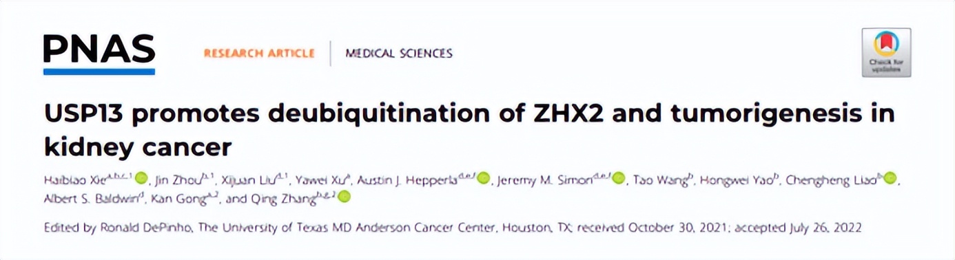 肾癌转肺免疫治疗最新进展,肾癌治疗新进展