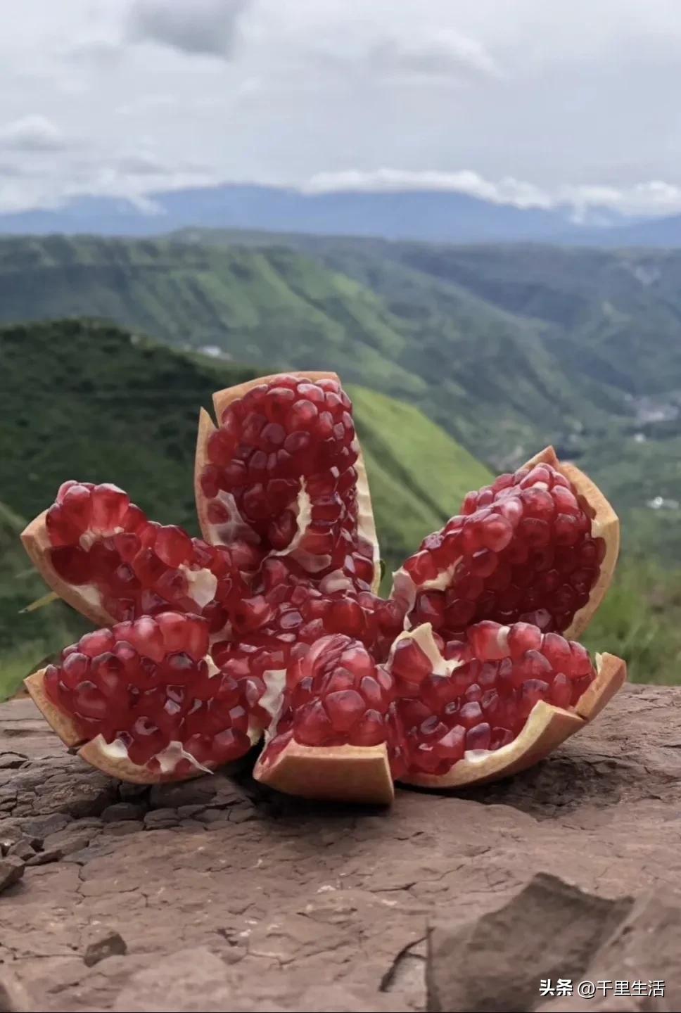 突尼斯软籽石榴超级好吃,突尼斯软籽石榴不用吐籽就能吃
