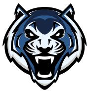 虎年说虎表演,虎年说虎华南虎