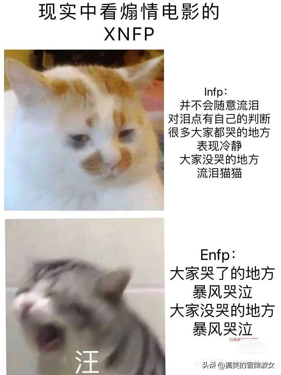 现在交朋友都得先报四个字母的暗号了？我是infp，你是啥？