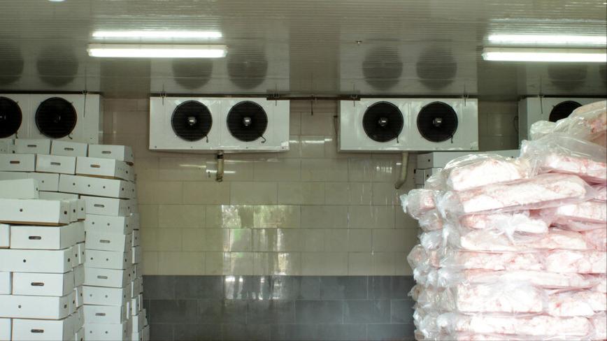 有钱人为啥扎堆建冷库,冷库市场前景怎么样