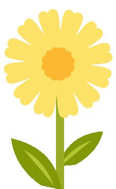 抖店商品卡流量,抖店秒杀和拼团哪个流量大