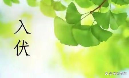 7月几号入伏今年伏天多少天,入伏为什么是7月11号起