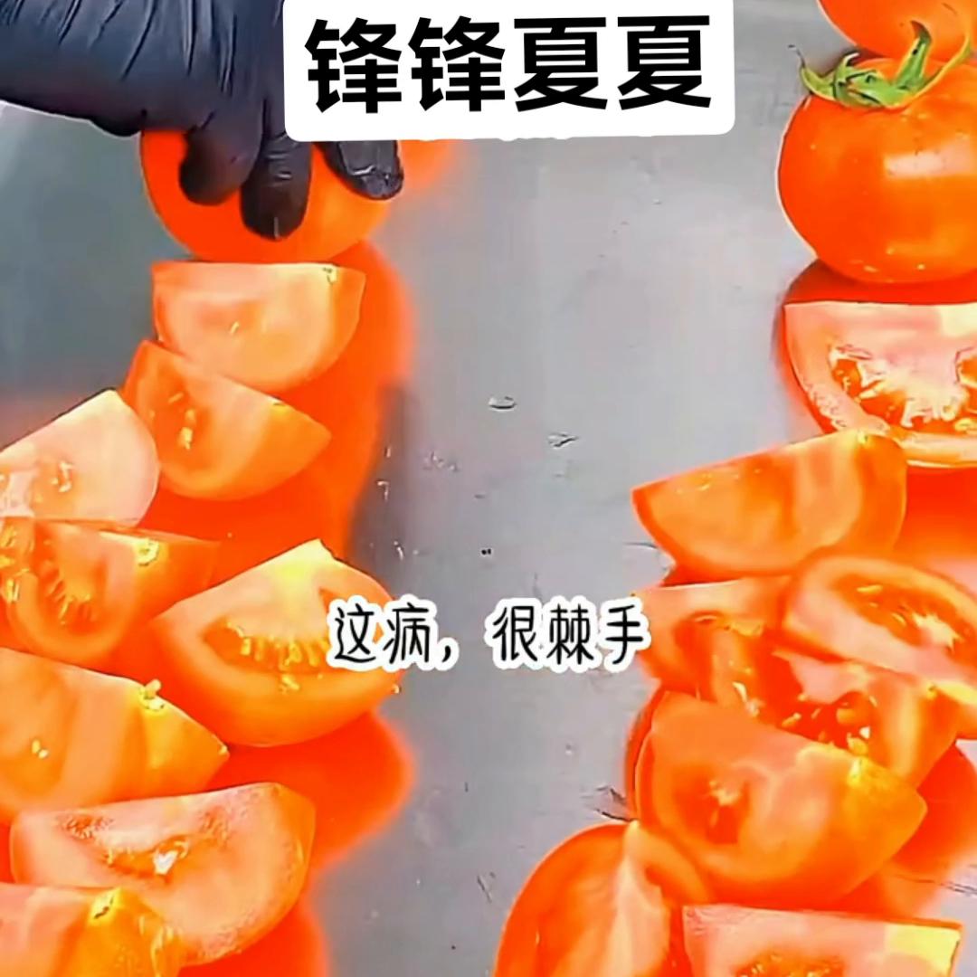 锋锋夏夏#小说推荐