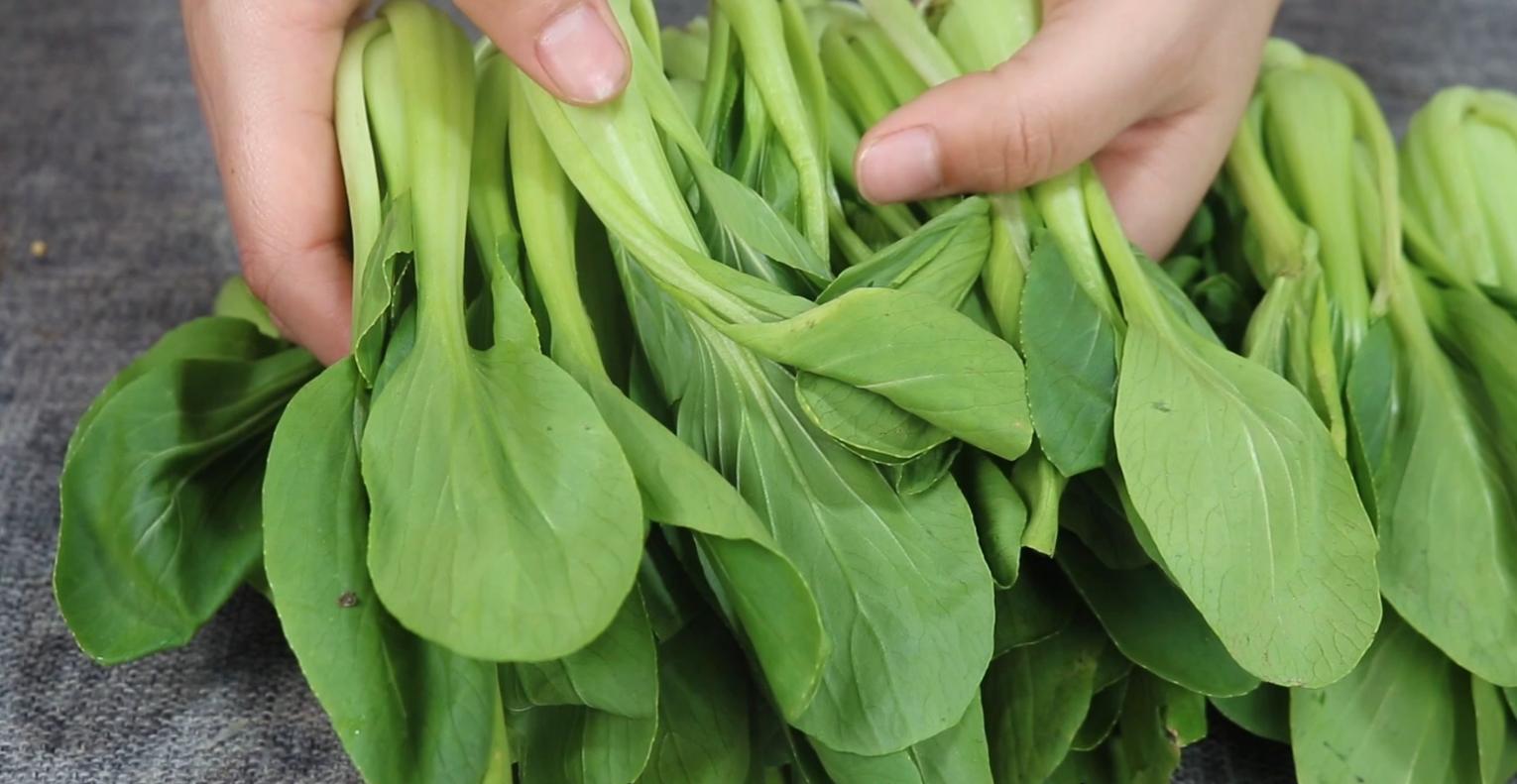 腌酸菜原来这么简单,腌酸菜的简单快捷方法