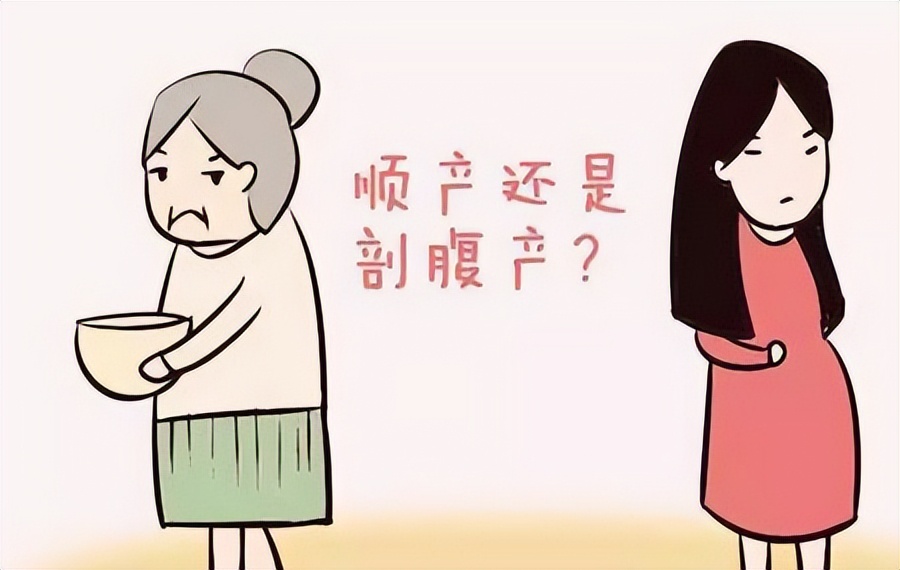 一个新生命的诞生,一个新生命孕育过程的视频