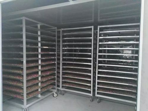 药材电加热烘干机,小型箱式中药烘干机