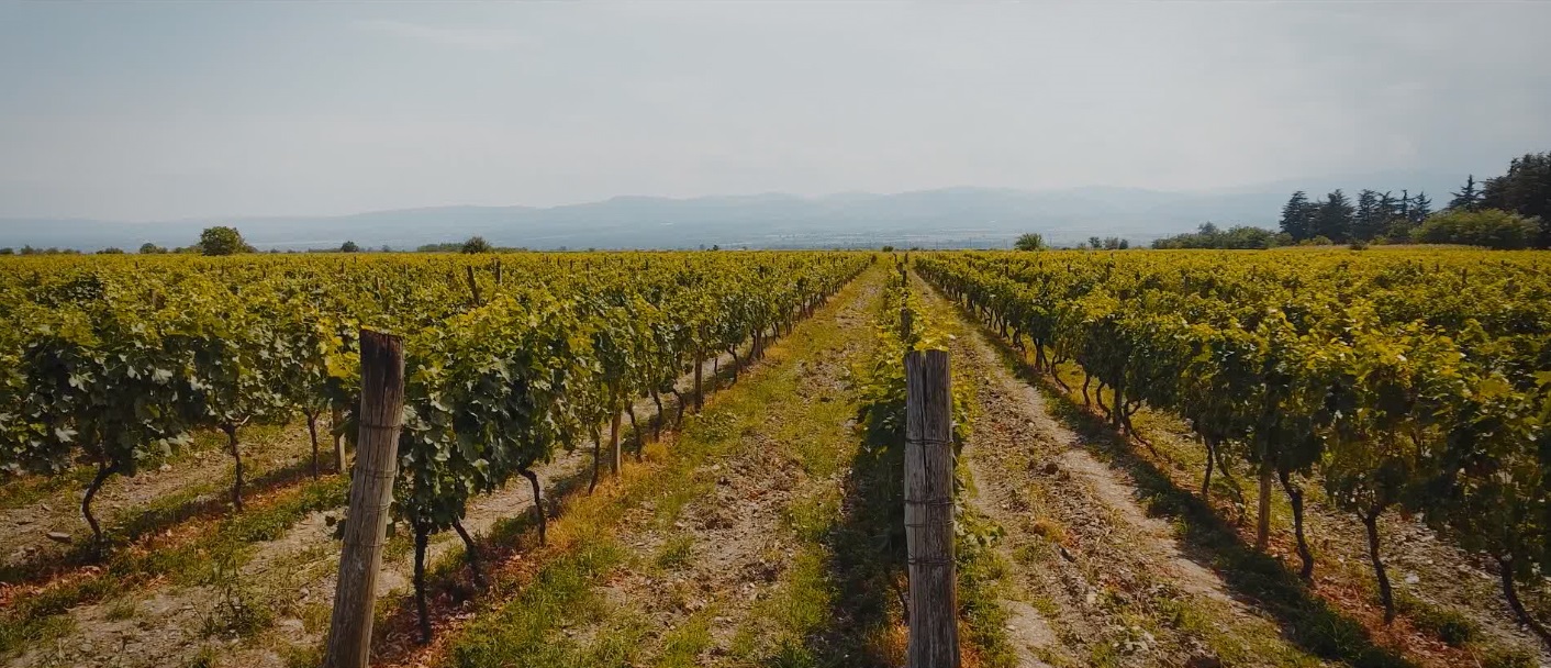 探秘古代酿酒工艺与酒具文化,探秘纯粮酿造酒