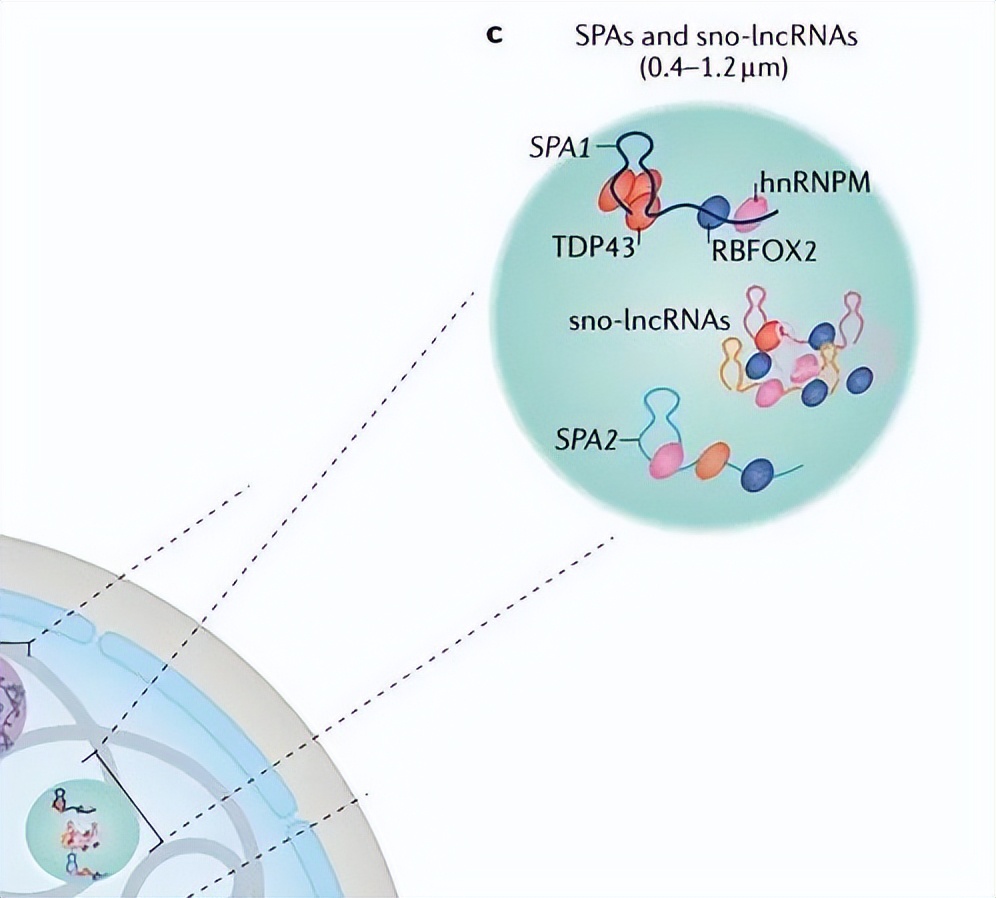 nature最新论文,nature论文最新发现