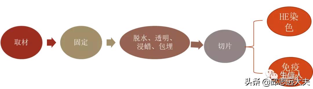 单细胞测序干湿结合,单细胞测序数据分析教程