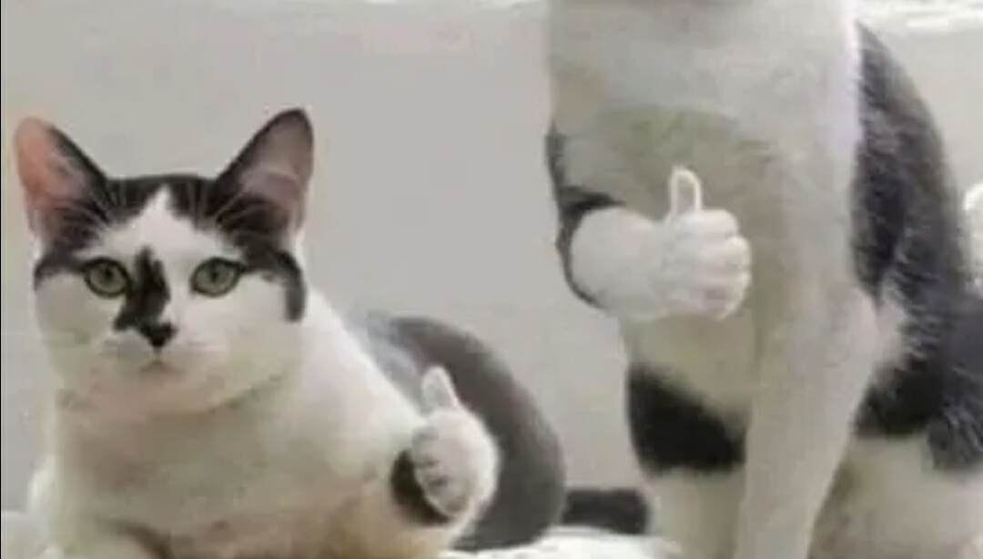 旗舰扫地机器人大PK：石头G20、科沃斯T20、追觅S20谁才是你的菜