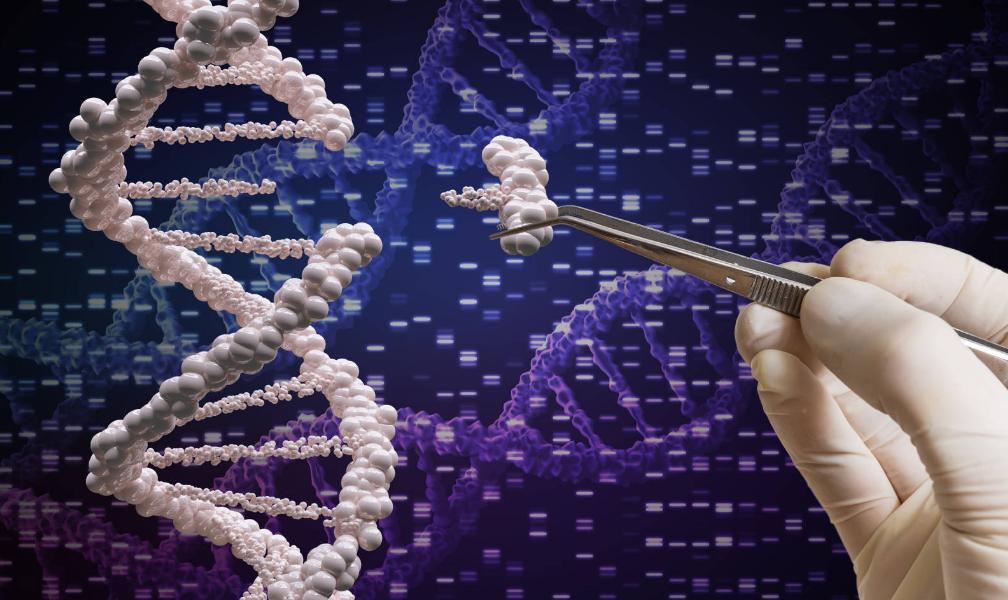 云南男子被警察审讯50多小时后续,云南强行逼供案