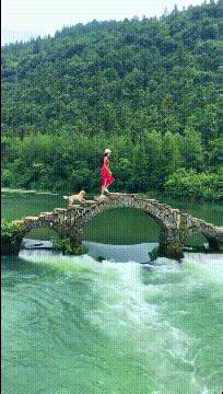 伴娘蹲角落里玩手机,伴娘躲在角落玩手机很漂亮