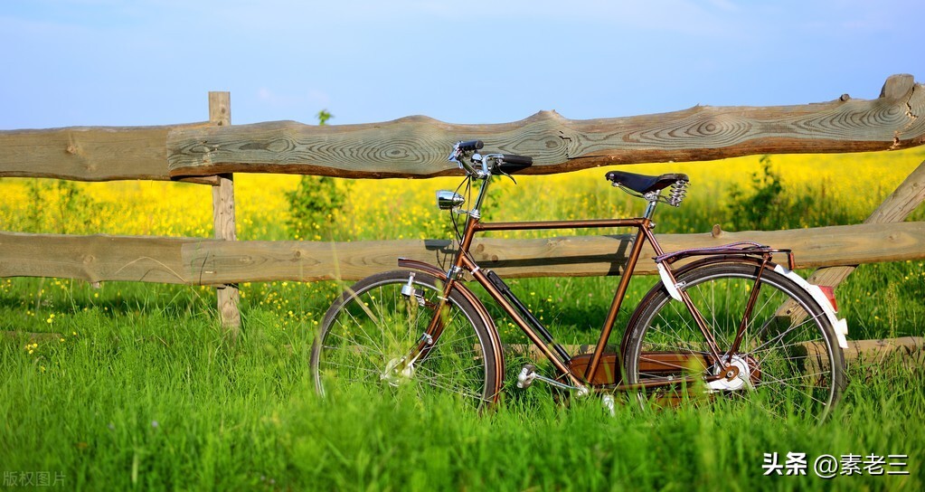 女作家去做保姆517,女作家去做保姆最新篇文章