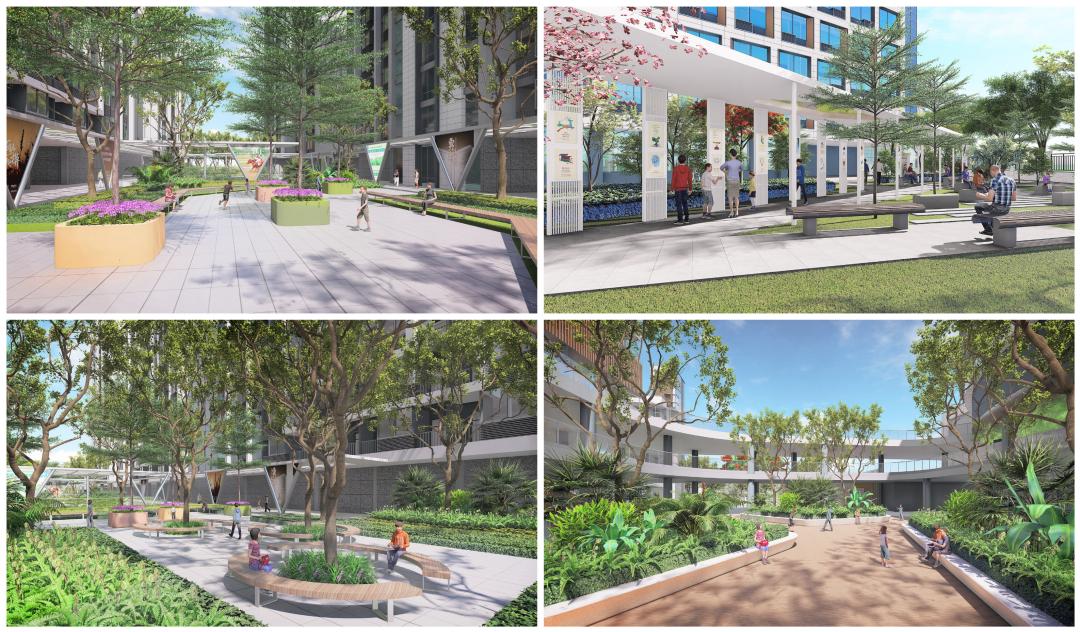 打造学生健康快乐成长的“林中学堂”，这所深圳高中做到了！