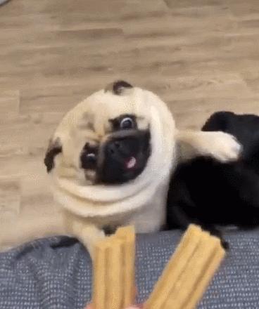 每日一笑腿短不是你的错,每日一笑短腿