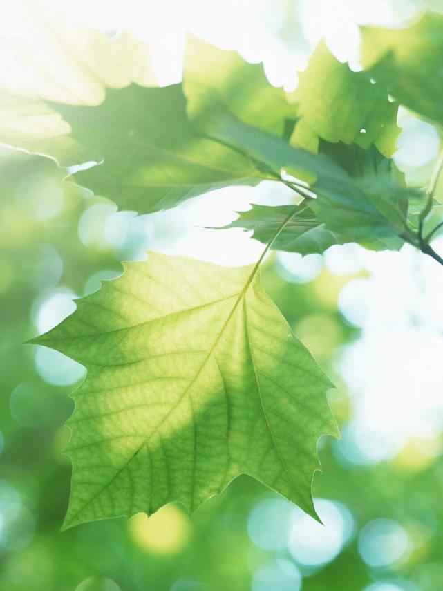 成都高校现在对外开放了吗,成都高校最新消息