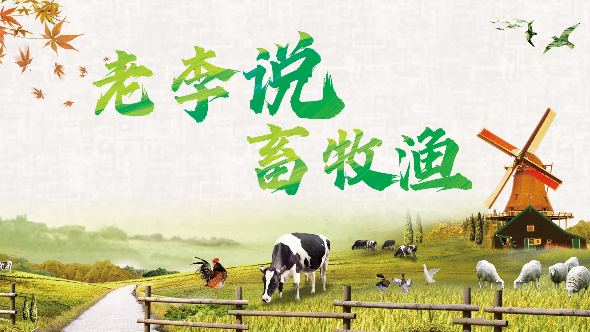 猪的病症判断和治疗方案,猪常见病症图片