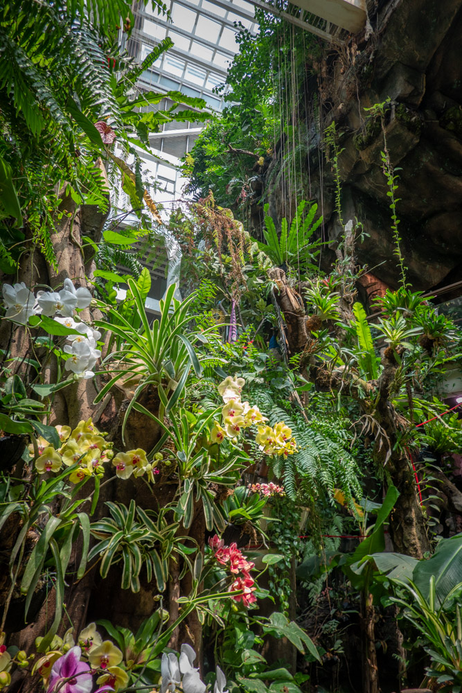 广州长隆野生动物园蛇之秘境,广州这个城市真的好繁华