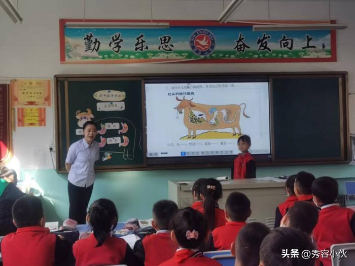 小学开展新课标学习活动,小学学习新课标第一部分活动信息