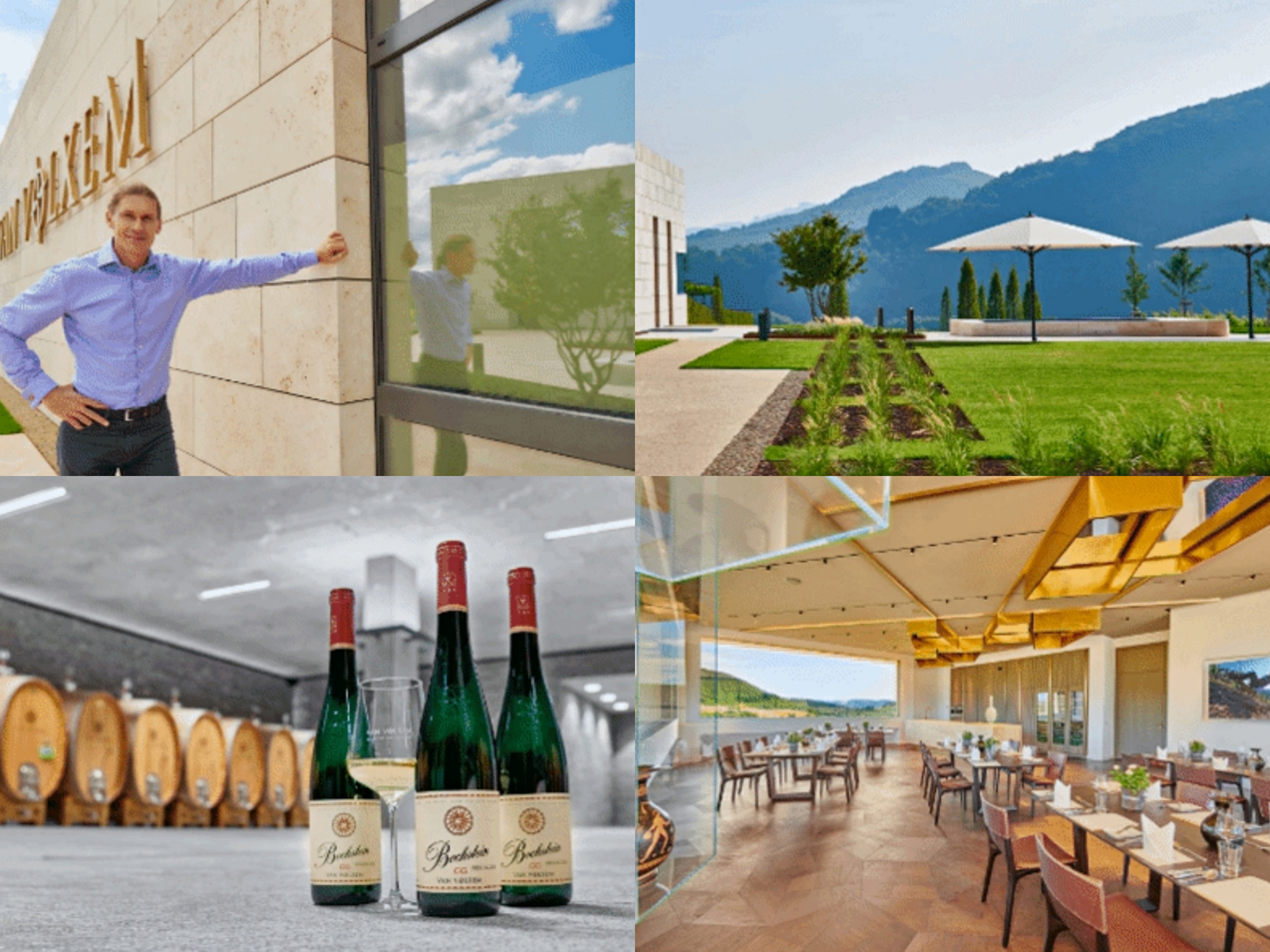 雷司令生日,雷司令2017