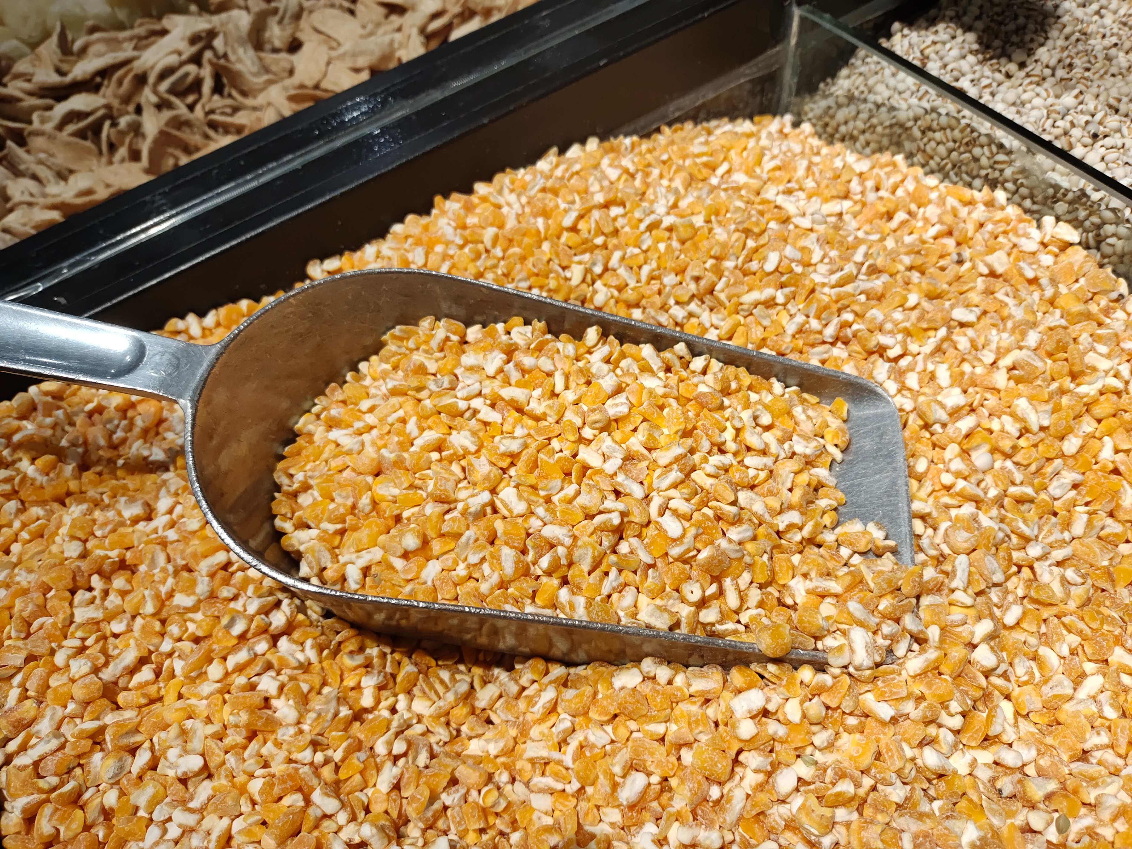 斑鸠的最佳配置,斑鸠鸟怎么喂食的