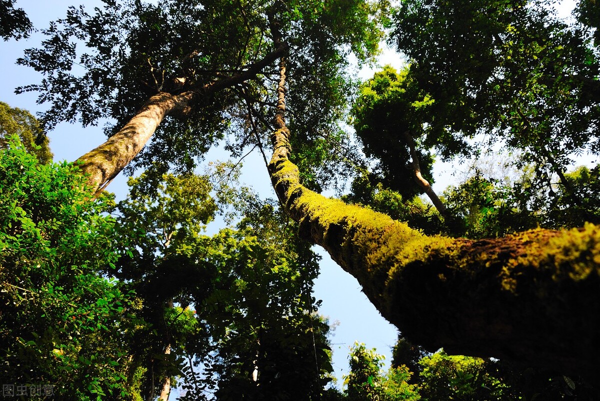 重生食人部落小说,穿越食人族部落小说