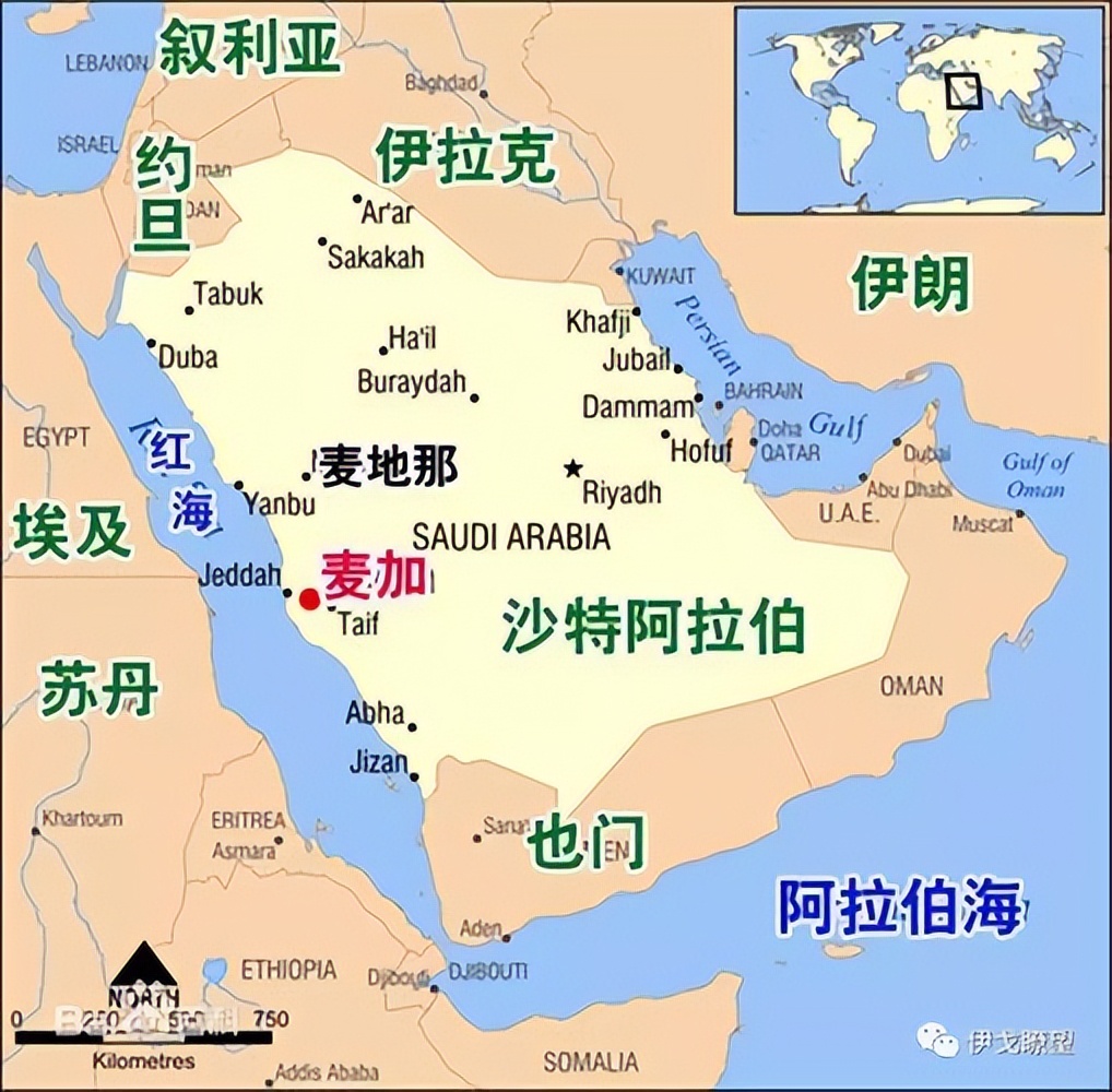 卡塔尔世界杯32强巡礼之伊朗,卡塔尔世界杯32强巡礼之埃及