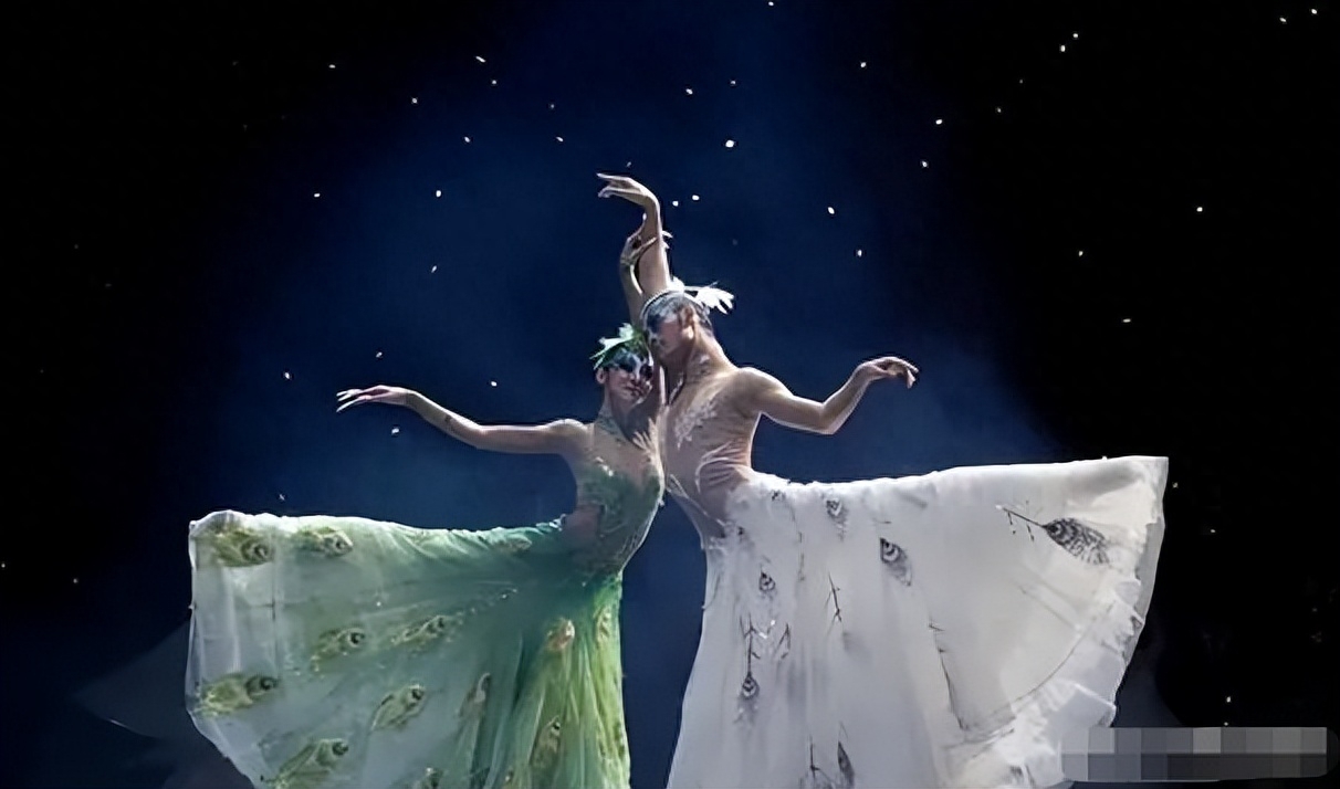 杨丽萍的四大不解之谜,杨丽萍十大不解之谜