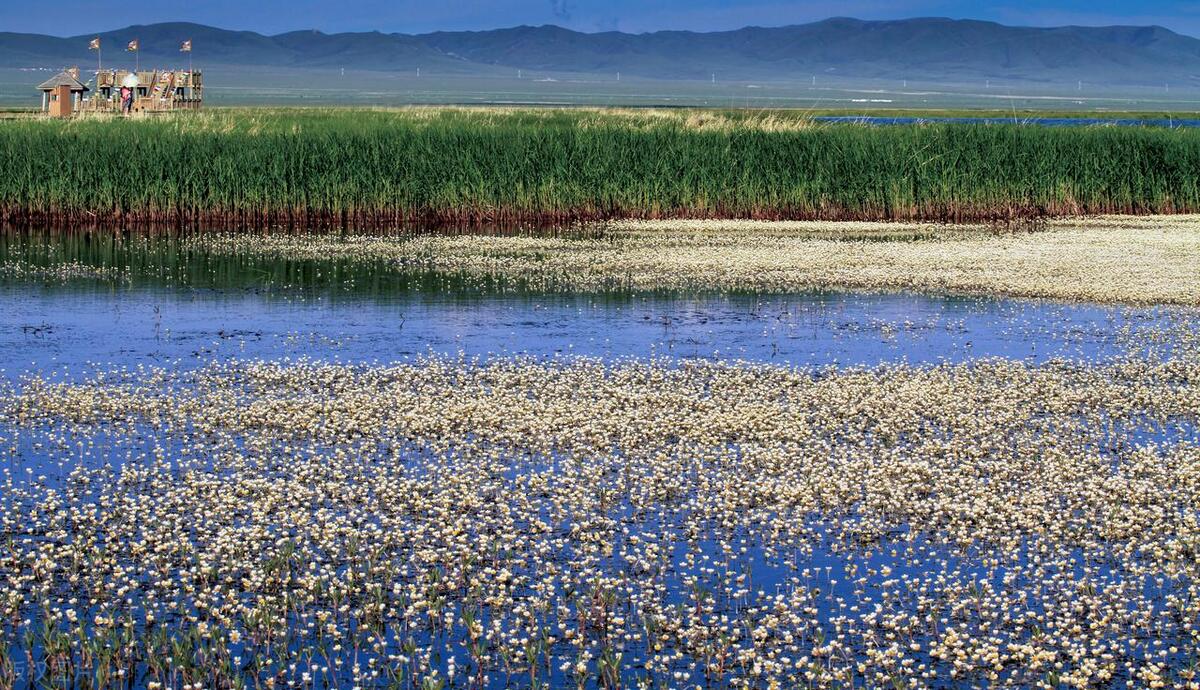 四川最美草原—若尔盖草原欣赏