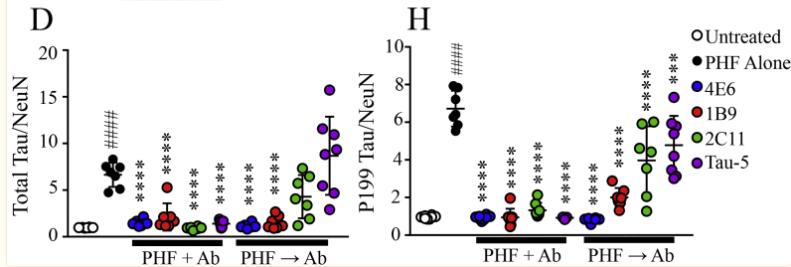 tau鎶椾綋,tau鎶椾綋涓村簥璇曢獙