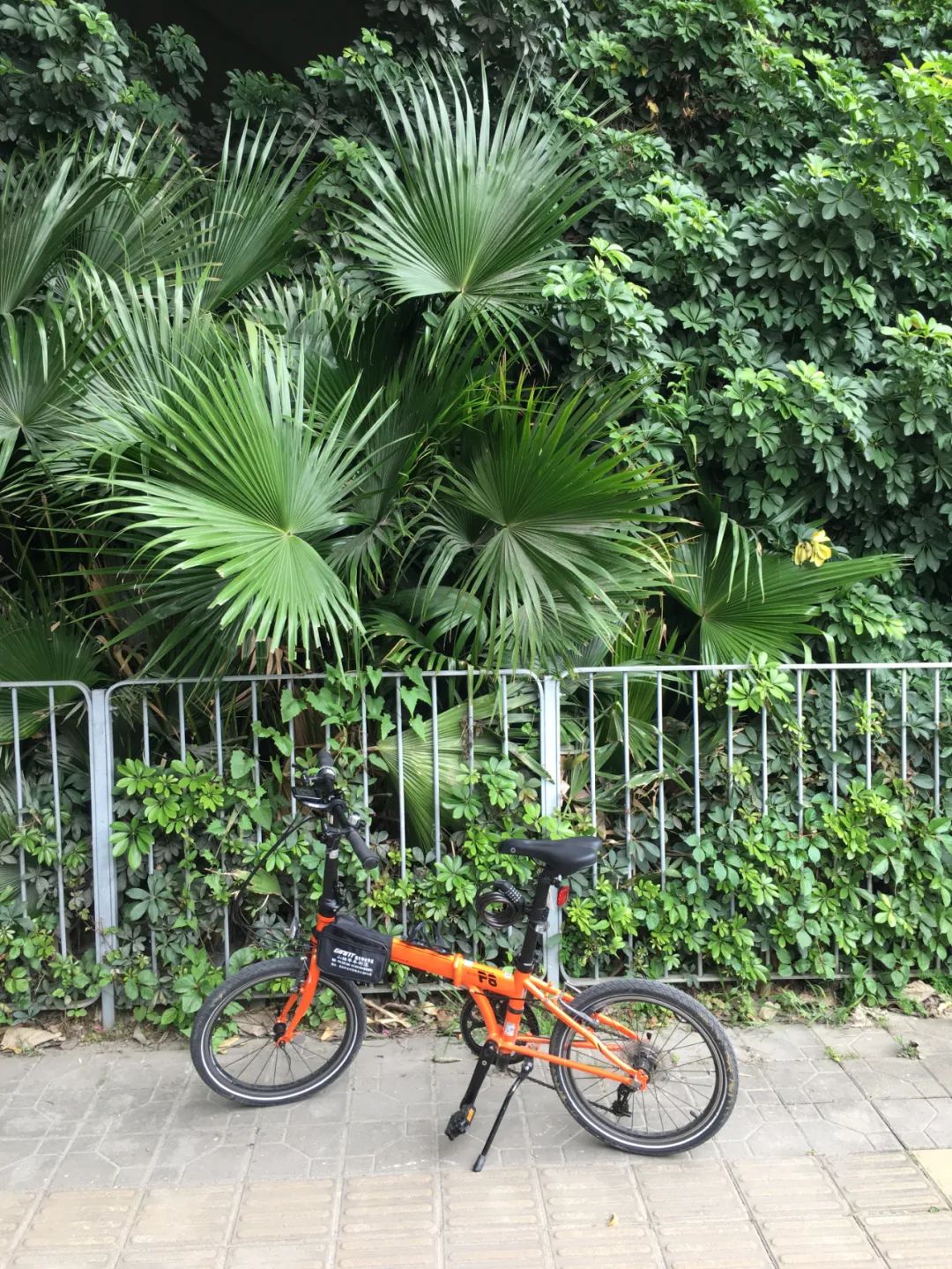 旭光车行雅迪电动车,旭光单车