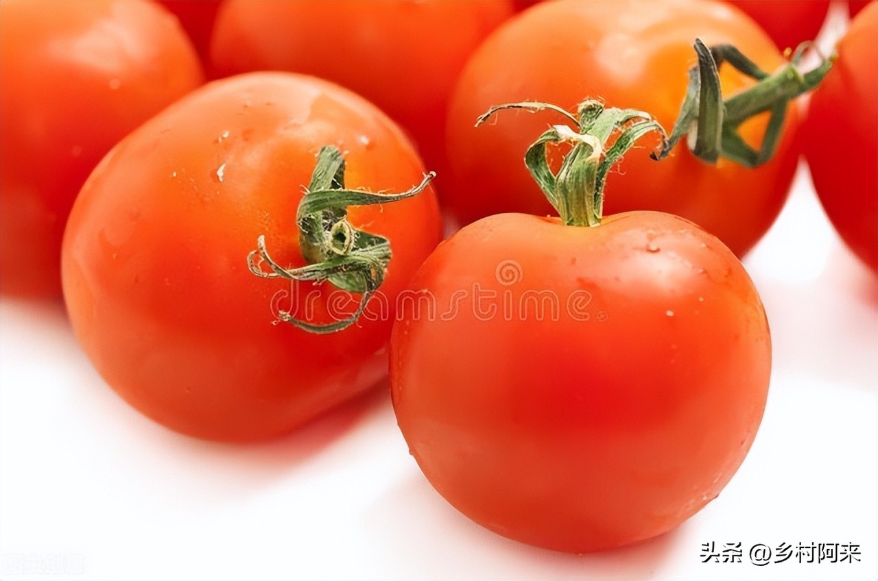 夏天在农村适合吃什么菜,夏天在农村吃什么好