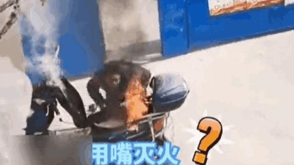 监控人的无语瞬间,监控拍下让人不解的一幕