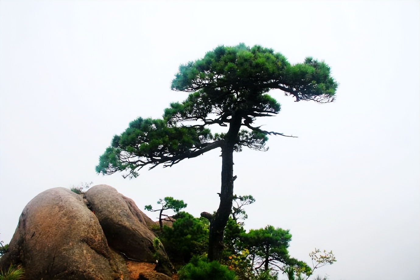关于三清山的诗句五岳,诗人笔下的三清山