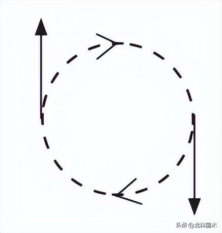 太极大道,太极拳理论太极养生小功法