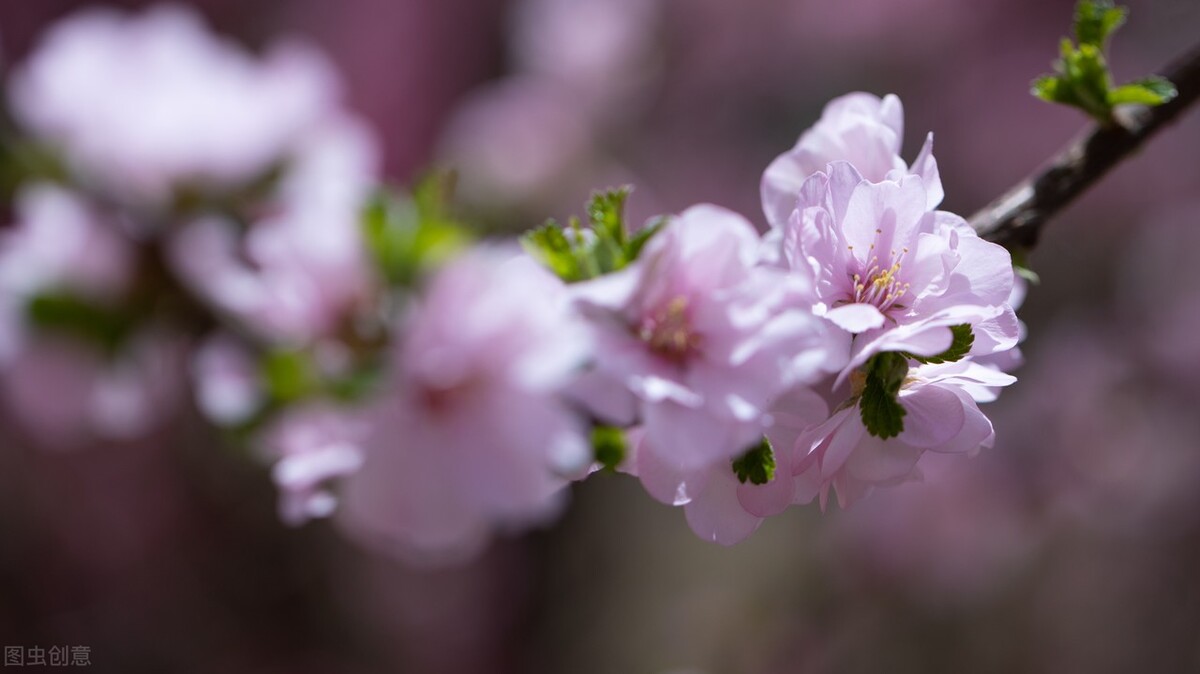清都的原创诗词，4年作品合集，用文字记录生活