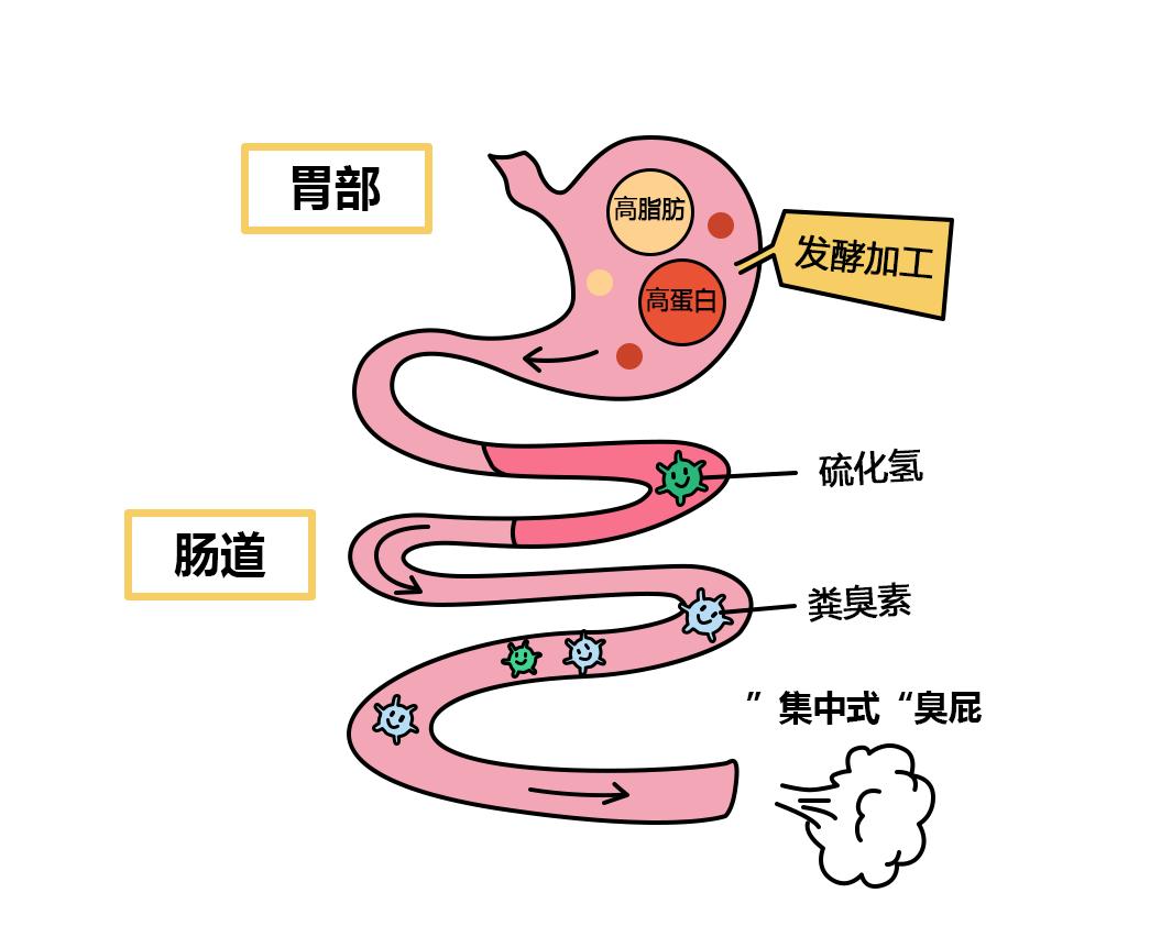 莫声张，悄悄了解“集中式”臭屁~