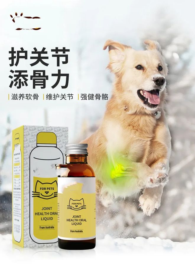 宠物是智商税吗,宠物用品智商税