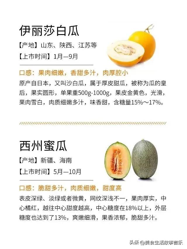 甜瓜熟度最好的品种,甜瓜品种科普图解