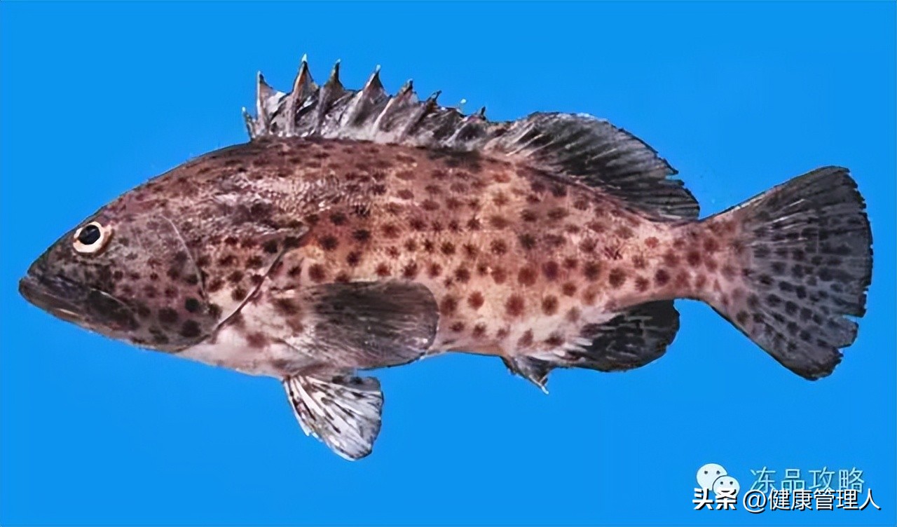 美容护肤食疗方案,美容护肤养生介绍